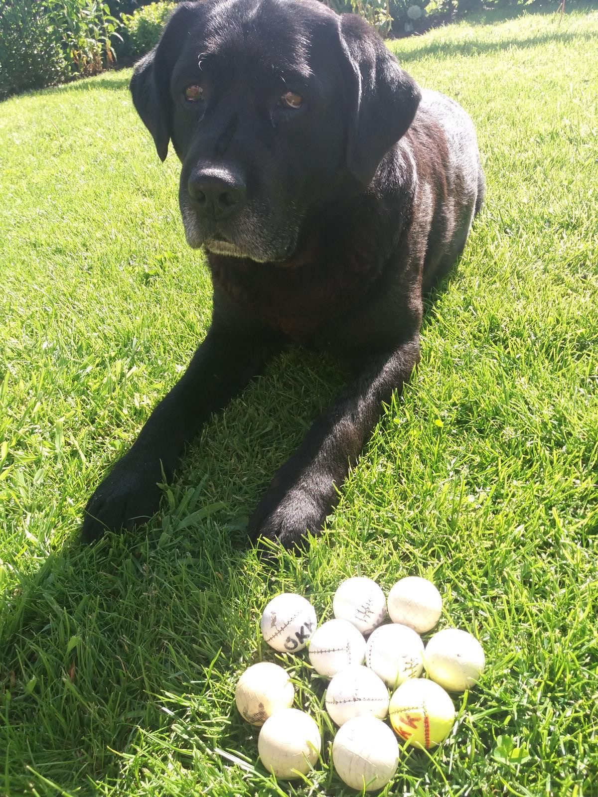 Featured image for “Balle-aksje ⚾”